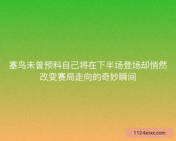 塞鸟未曾预料自己将在下半场登场却悄然改变赛局走向的奇妙瞬间